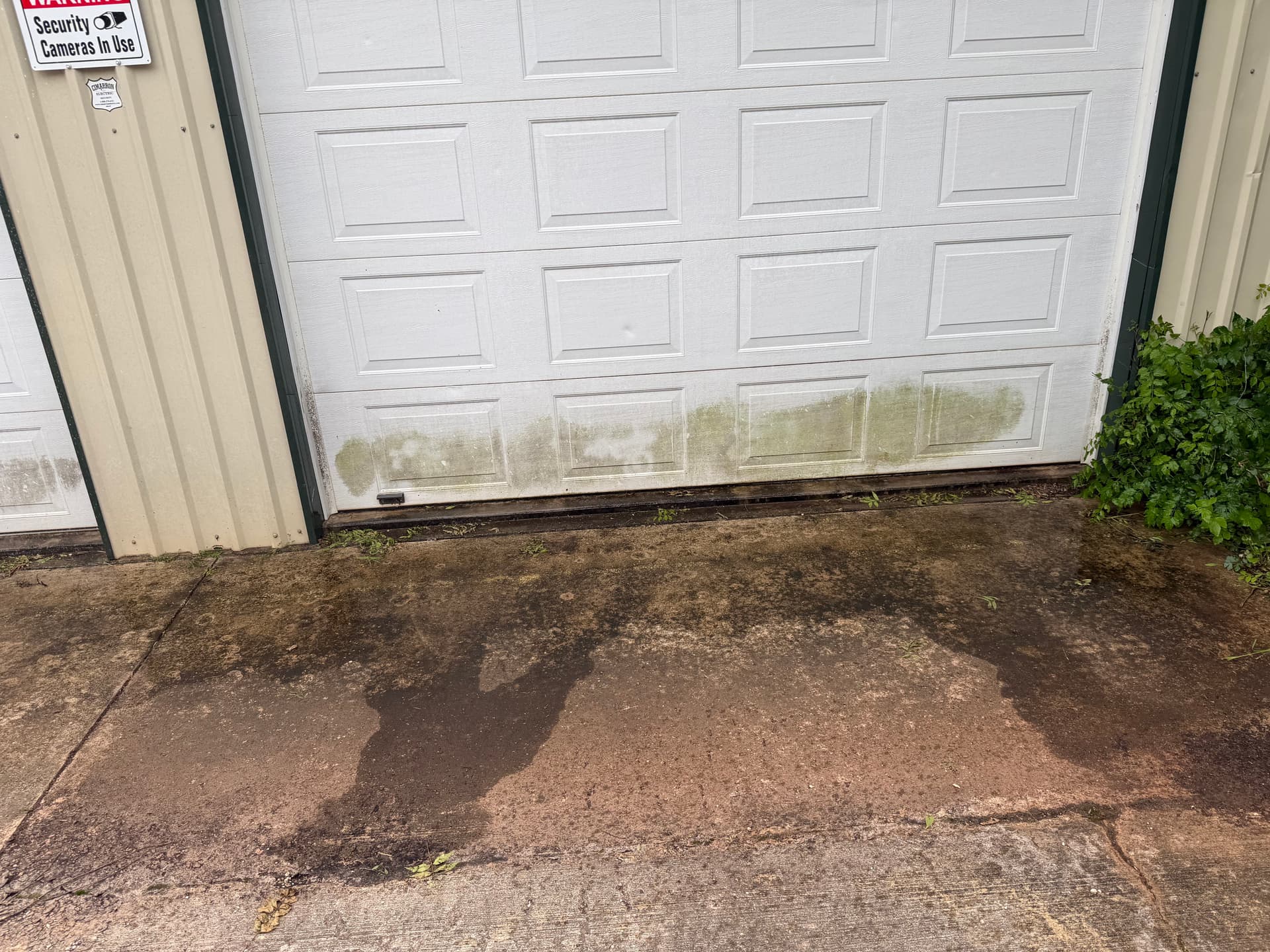 Gallery photos for Concrete and Garage Door Cleaning That Actually Makes a Difference: Image #4
