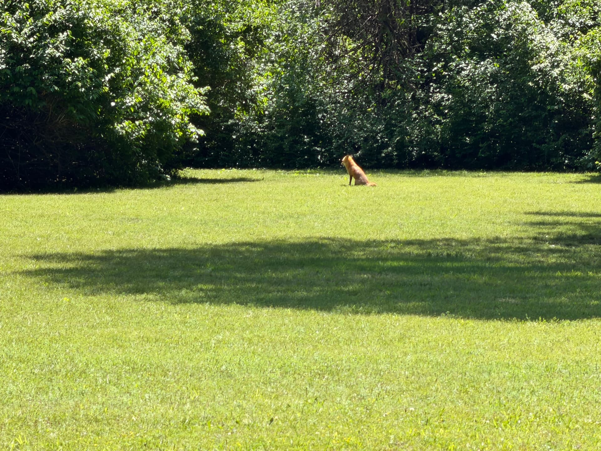Gallery photos for Exterior Window Cleaning at the Marland Mansion in Ponca City: Image #4