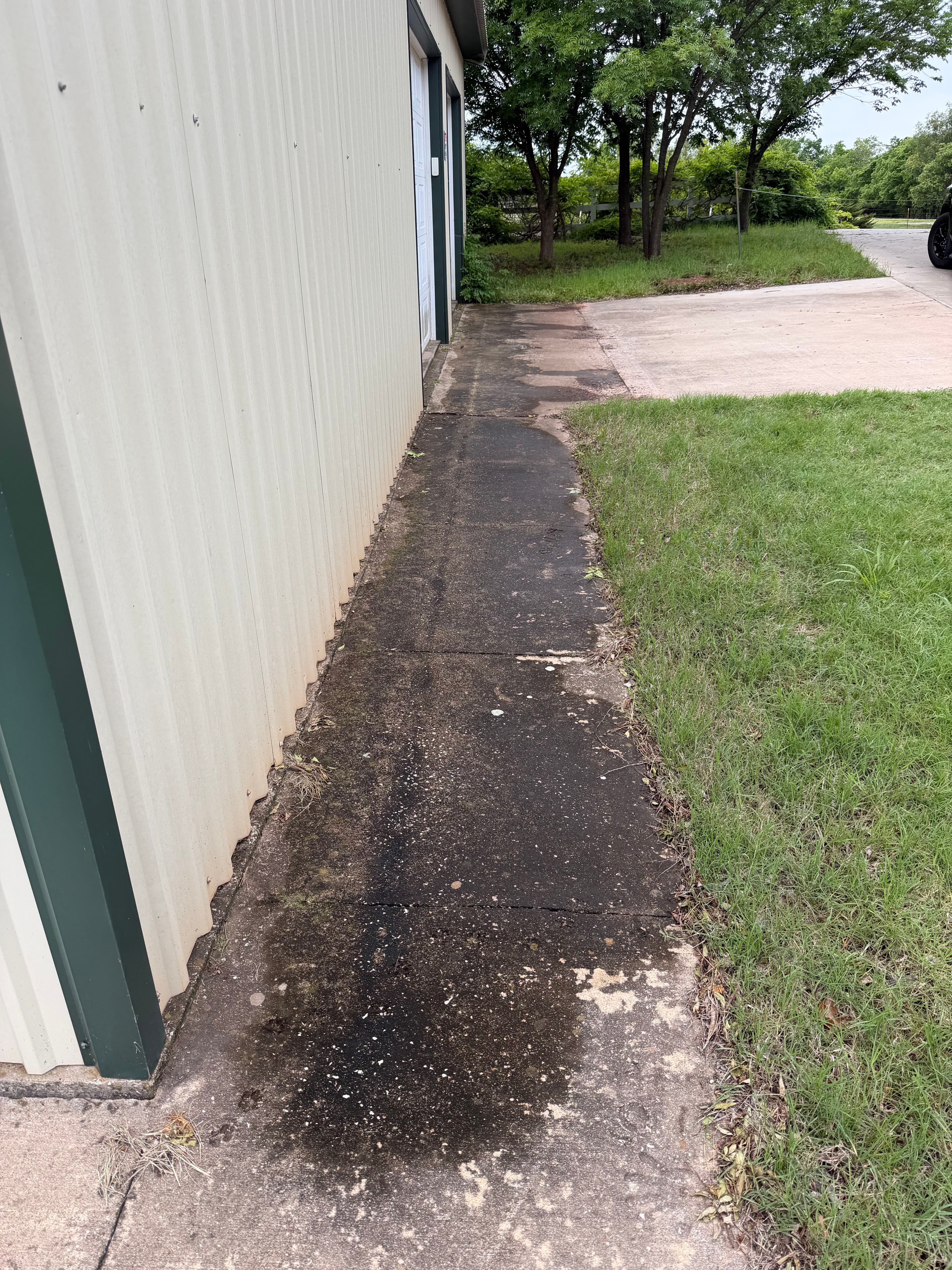 Project Concrete and Garage Door Cleaning That Actually Makes a Difference image