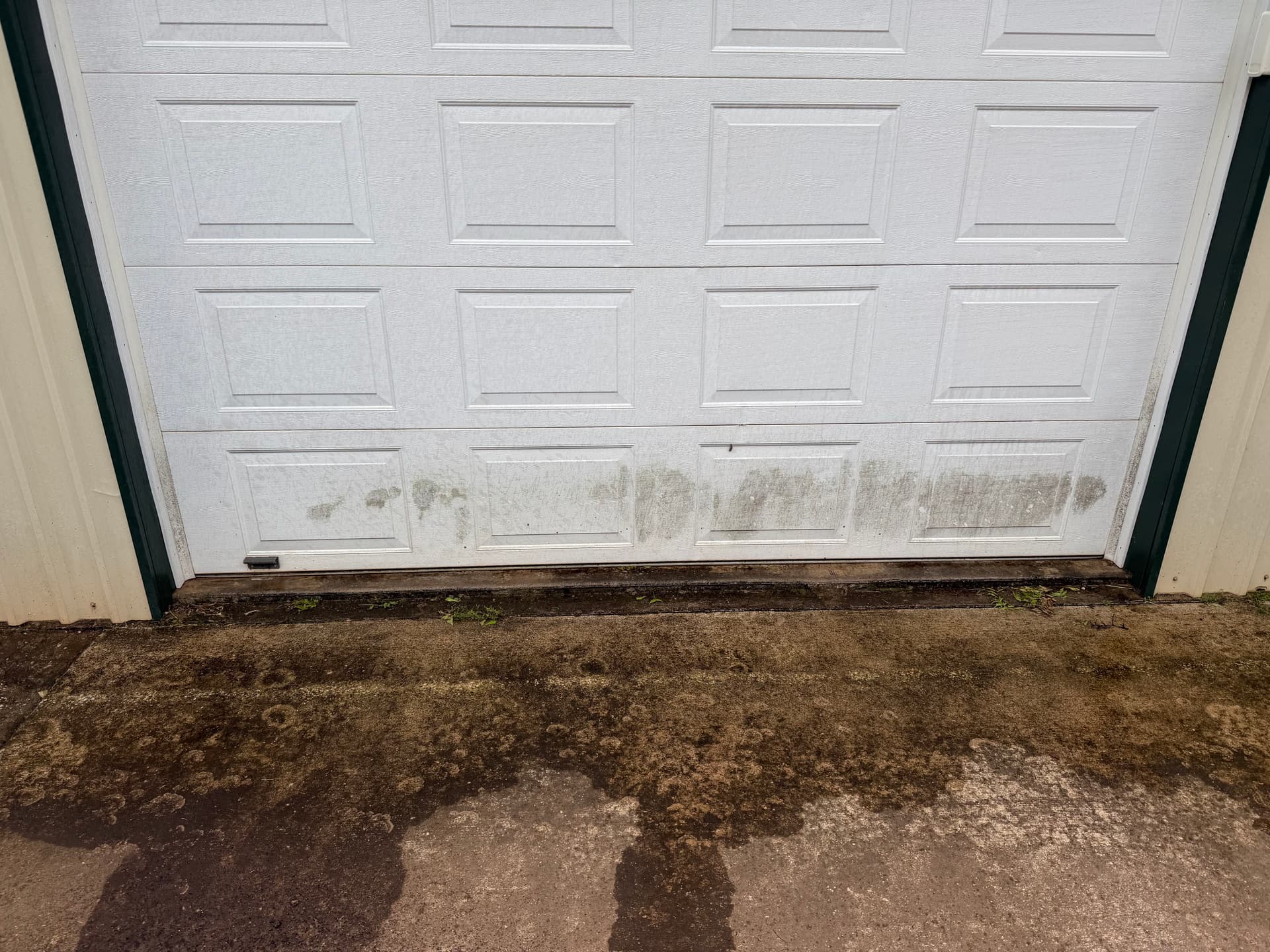 Gallery photos for Concrete and Garage Door Cleaning That Actually Makes a Difference: Image #2