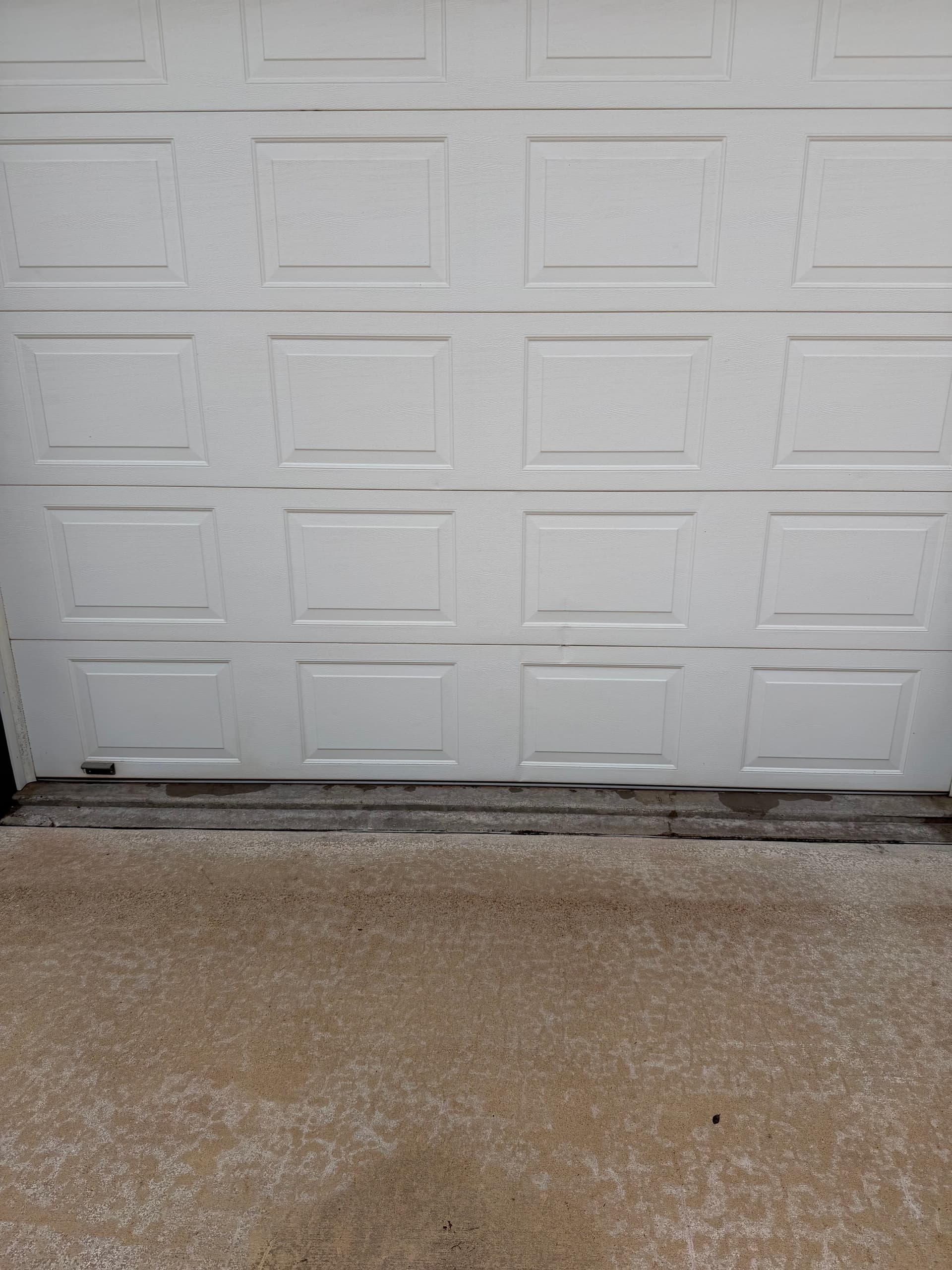 Gallery photos for Concrete and Garage Door Cleaning That Actually Makes a Difference: Image #3